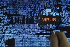 В Украине обнаружили крупнейшую бот-сеть