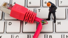 В России навечно заблокировали 13 популярных торрентов