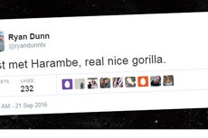 Хакеры оживили погибшую звезду «Чудаков» и опубликовали твиты «с того света»