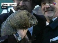 Юзеры празднуют День Сурка