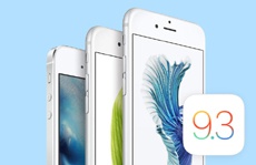Apple выпустила iOS 9.3 beta 4 для iPhone, iPod touch и iPad