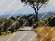 Боты Google научились удалять водяные знаки с картинок