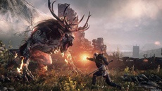 The Witcher 4 не выйдет, хотя мы увидим новые игры в том же мире