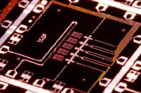 Ученые из США продемонстрировали компьютер из пяти кубитов