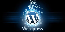 Хакеры активно эксплуатируют XSS-брешь в популярных плагинах WordPress