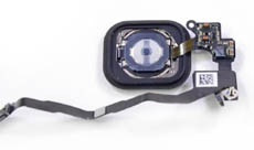 Новые iPad получат сканеры Touch ID