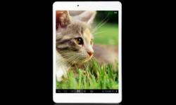 Китайский iPad mini лучше оригинального