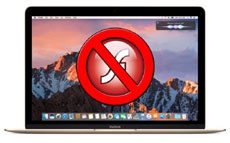 Apple в macOS Sierra запланировала полный отказ от автозапуска Flash в Safari