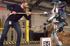 Пользователи Сети предрекли человечеству гибель из-за мести роботов