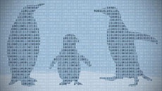 В ядре Linux исправлена критическая уязвимость