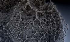 Нейронные сети Google упростят создание приложений с поддержкой распознавания объектов