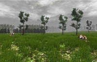 Анонсирован «симулятор травы»