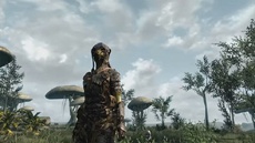 Прогресс работы над The Elder Scrolls: Skywind продемонстрировали в новом видео