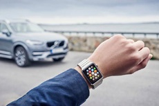 Apple Watch окупают себя за год