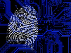 Украина - заповедник киберпреступников