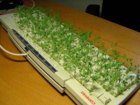 Порталы  Рунета переходят от рекламы к платным сервисам