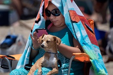 С помощью смартфонов начнут бороться со слабоумием