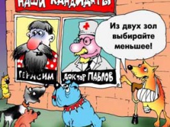 Как украинцы «отжигали» на выборах