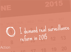 Сможет ли петиция Google помочь добиться запрета массовой интернет-слежки в 2015 году