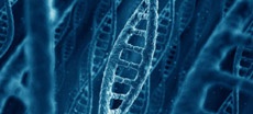 Суперкомпьютер Watson от IBM станет врачом