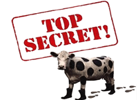 Загадочный покупатель миллиона смартфонов BlackBerry раскрыл себя