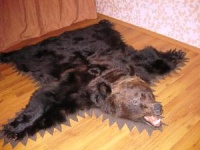 О чём промолчали Тигипко