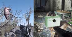 Геймеры делятся видео со смешными багами в Fallout 4