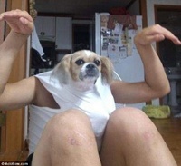 Смешные фотографии животных, которые прославились на весь Интернет