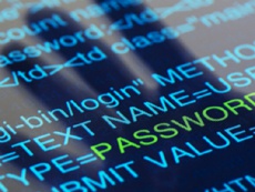 Злоумышленники атакуют сайты на базе WordPress с помощью нового вредоносного ПО