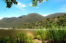 Пользователи сети ломают голову над новой оптической иллюзией