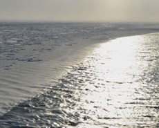 Интернет позволит продвинуться в исследовании Арктики