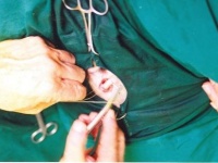 Человек как слабое звено