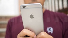 Две трети проданных за всё время аппаратов iPhone продолжают работать