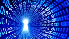 В Сеть утекли пароли для создания действенного ботнета