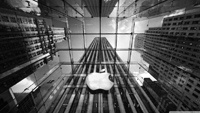 Apple скрывает от общественности покупку ряда компаний?