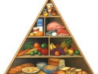 Интернет о пирамидах питания