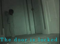 Двухлетний малыш — воришка стал звездой Интернета