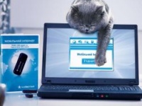 Через 5 лет мобильный интернет будет доминировать