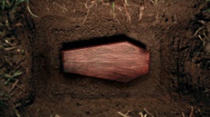 Мужчина заживо похоронил себя в гробу с Wi-Fi