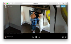 Tumblr создал «телевидение» из гифок