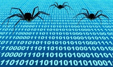 Треть крупных банков в США подвергают пользователей риску кибератак