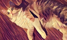Фальшивые версии Prisma для Android установлены более 1,5 млн раз