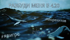 В Запорожской области "Синий кит" едва не унес человеческую жизнь