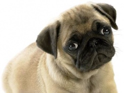 У самого успешного интернет-коммерсанта Украины похитили члена семьи