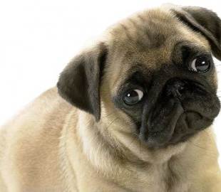 У самого успешного интернет-коммерсанта Украины похитили члена семьи