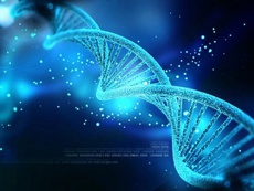 Исследователи доказали возможность создания компьютера на базе ДНК