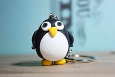 Главная Linux-организация изгнала из правления частных разработчиков