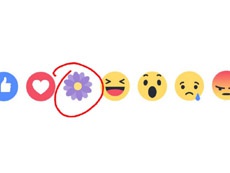 Facebook тестирует новую "реакцию"