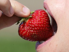 Более 50 британских чиновников попались на просмотре порно