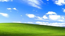Происхождение знаменитого фона Windows XP Bliss